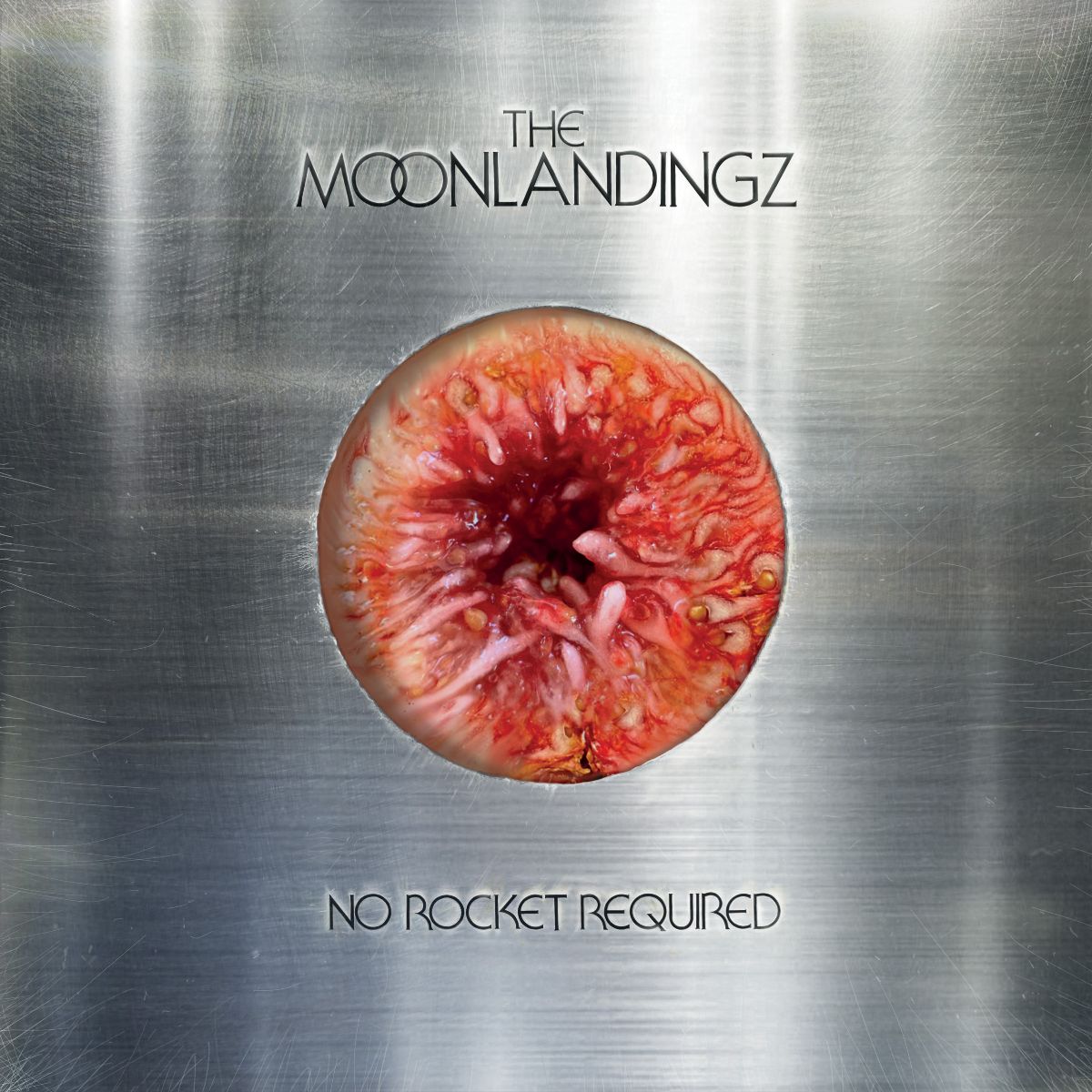 ALBUM REVIEW: THE MOONLANDINGZ – NO ROCKET REQUIRED - Joyzine